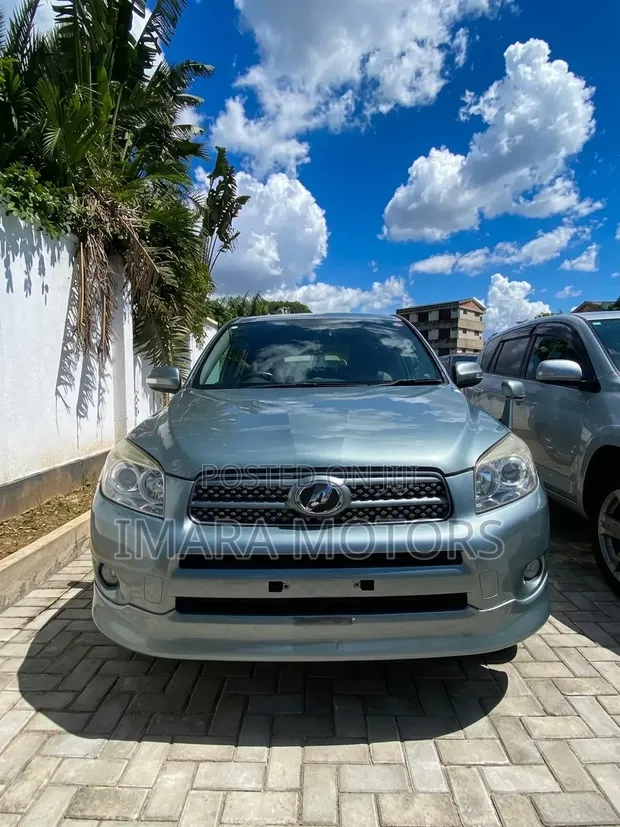 Toyota RAV4 2009 Gray - 1