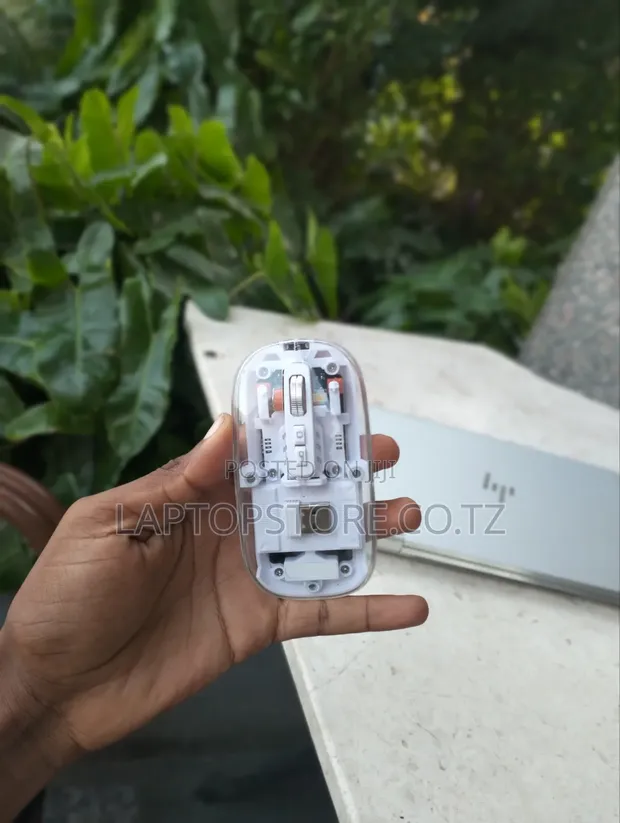 Wireless Transparent Mouse - 1