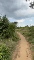 137 Acres Agriculture Farm for Sale in Mhaga, Kisarawe - 3