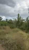 137 Acres Agriculture Farm for Sale in Mhaga, Kisarawe - 4