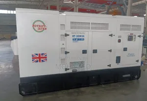 Loyalty Diesel Generator 300 kVA