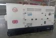 Loyalty Diesel Generator 300 kVA - 1