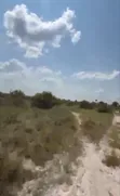 126 Acres Investment Land, Matanzi, Mkuranga - 3