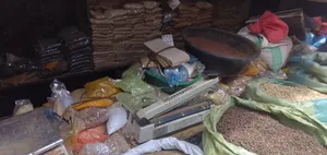 Assorted Spices - Iliki, Cinnamon, Ginger, Coriander, Moringa & More