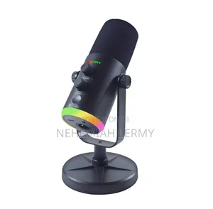 Accurian USB Condenser Microphone