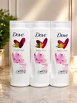 Dove Body Lotion - Shea Butter - 2