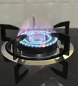 Pinetech Gas Stove Double Plate - 1