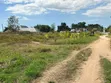 5 Acres Industrial Plot for Sale in Mapinga, Bagamoyo - 1