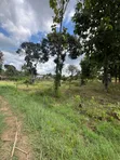 5 Acres Industrial Plot for Sale in Mapinga, Bagamoyo - 3