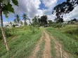 5 Acres Industrial Plot for Sale in Mapinga, Bagamoyo - 5