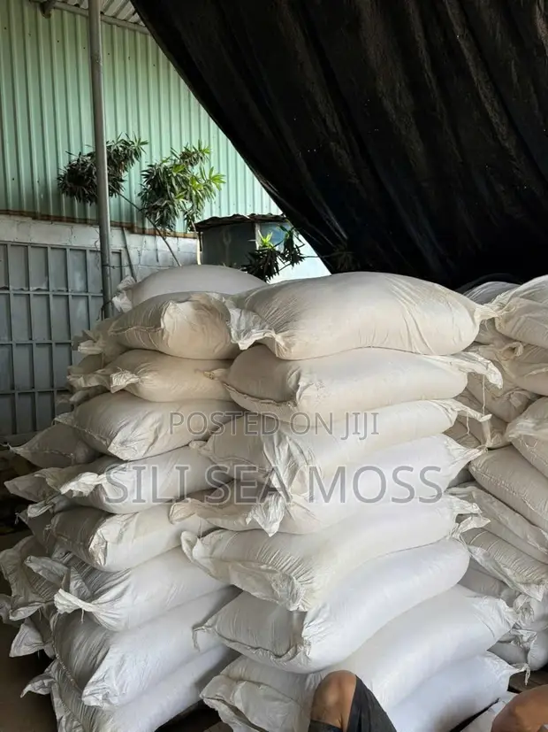 Sea Moss Powder - 1