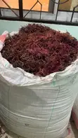Sea Moss Powder - 2
