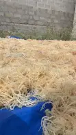 Sea Moss Powder - 3