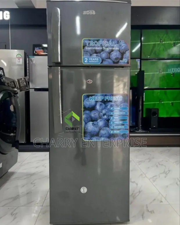 Boss Fridge BS 202svr Refrigerator - 1