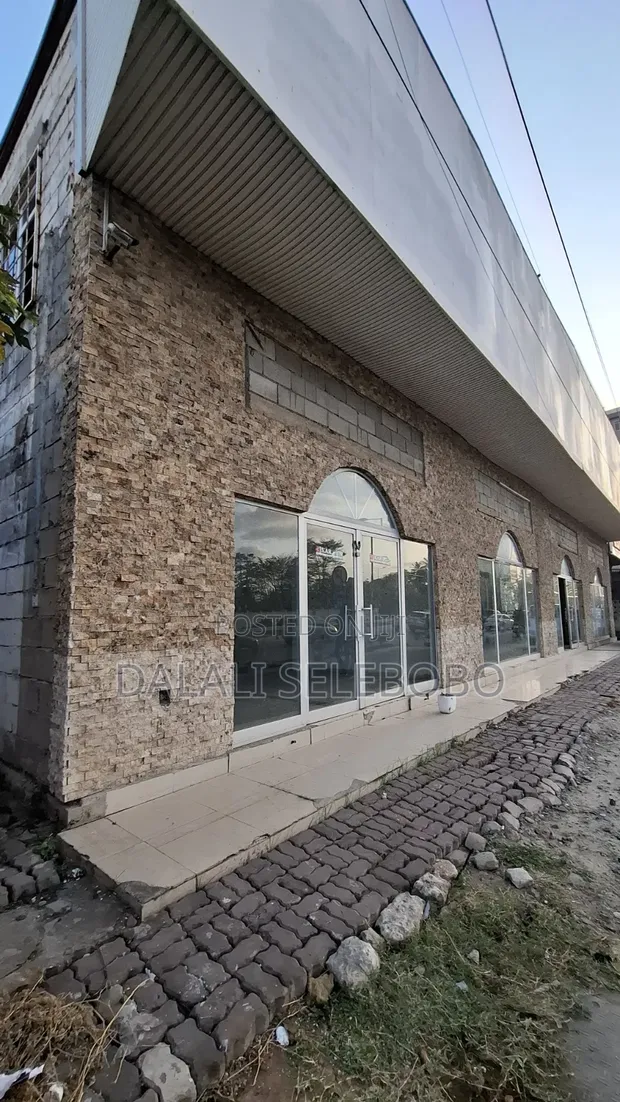 Commercial Investment Opportunity - Makumbusho Tarmac Frontage - 1