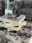 Well Designed White Coffee Table with Glass Top - 1