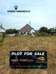 Land for Sale in Kiseke, Mwanza - 17500 sqm - 1