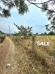 Land for Sale in Kiseke, Mwanza - 17500 sqm - 2