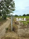Land for Sale in Kiseke, Mwanza - 17500 sqm - 3