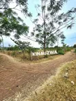 Land for Sale in Kiseke, Mwanza - 17500 sqm - 5