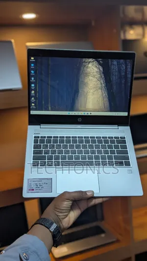 HP ProBook 430 G6 Laptop - 8GB RAM, 256GB SSD
