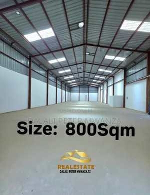 Godown Space for Rent - 800 sqm, Ilemela