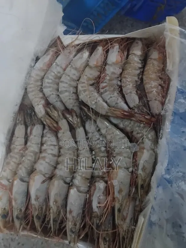 Fresh Prawns & Seafood Available - 1