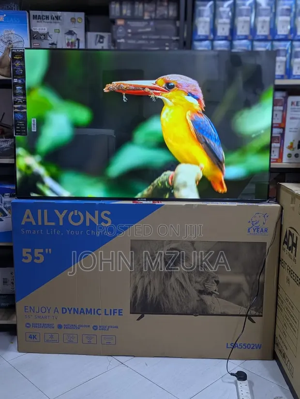 Ailyons TV Inchi 55 Double Glass - 1