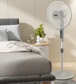 Brand New Standing Fan with Timer and Wind Modes - 1