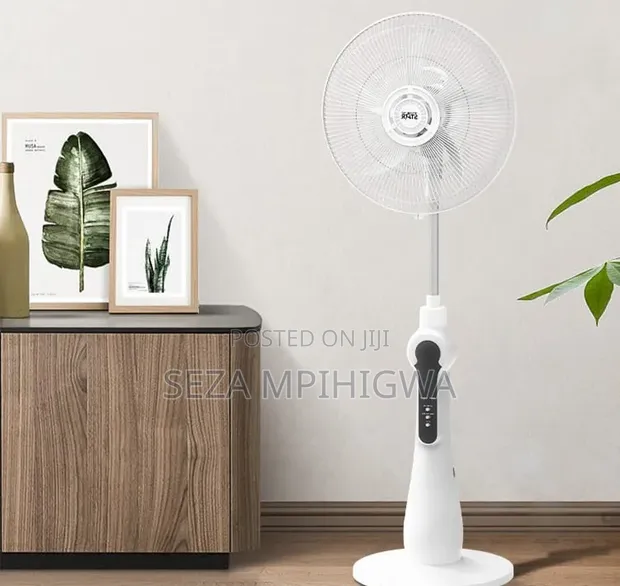 Standing Fan with Timer and Charging - 1