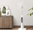Standing Fan with Timer and Charging - 2