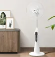 Standing Fan with Timer and Charging - 3