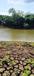Farmland for Sale in Kiwangwa, Bagamoyo - 1