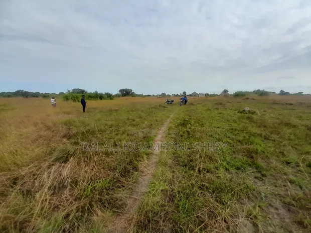 Land Plot for Sale in Kigamboni Cheka - 1