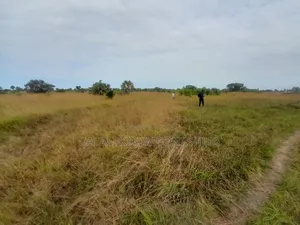 Land Plot for Sale in Kigamboni Cheka