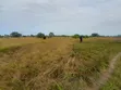 Land Plot for Sale in Kigamboni Cheka - 4