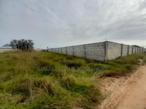 Land for Sale in Kigamboni Cheka