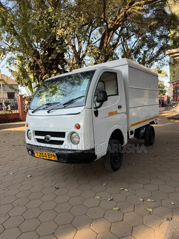 Tata Ace 2013 Nyeupe - 1