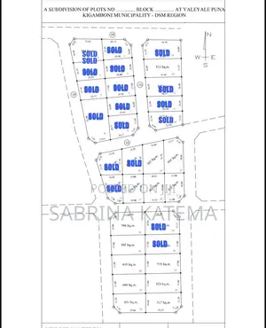 Kigamboni Puna Plots - 24-Month Installment Plan
