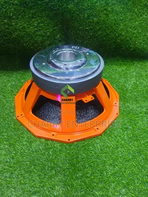 18-Inch Double Magnet Speaker