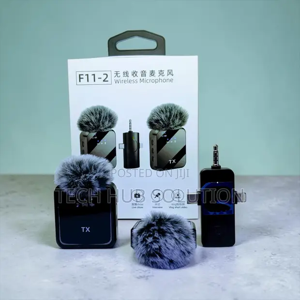 F11-2 Wireless Microphone for Karaoke & Presentations - 1
