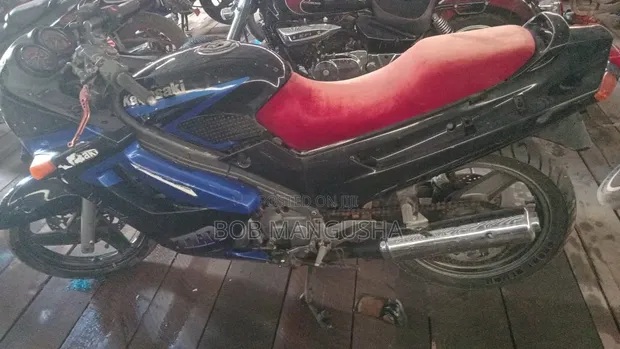 Kawasaki Ninja 300 1998 Blue - 1