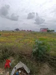 Kiwanja cha Biashara/Viwanda kwa Ajili ya Kuuzwa, Kigamboni Vijibweni - 3