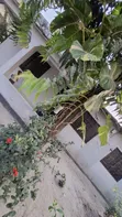 2-Bedroom Bungalow for Rent in Sinza Legho - 2