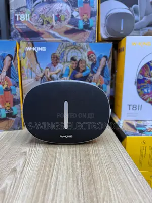W-King T8 II Bluetooth Speaker