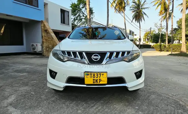 Nissan Murano 3.5 2008 White - 1