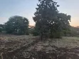 Residential Plot for Sale - Moshono-Olikeriani - 4