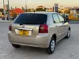 Toyota Allex 2005 Gold - 1