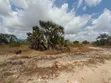 Land Plot for Sale Kigamboni Geza Ulole - 5