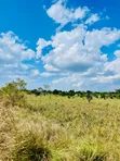 Africa Digital Investment Group Plots & Farmland - 5